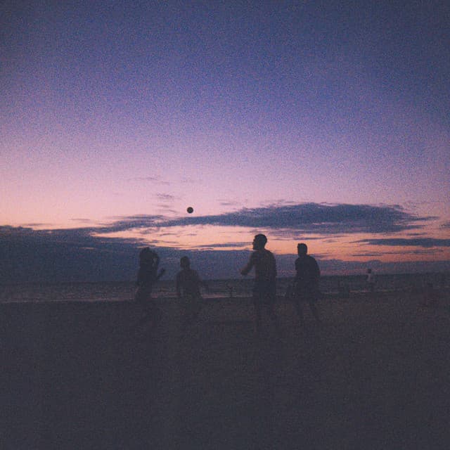 never said goodbye