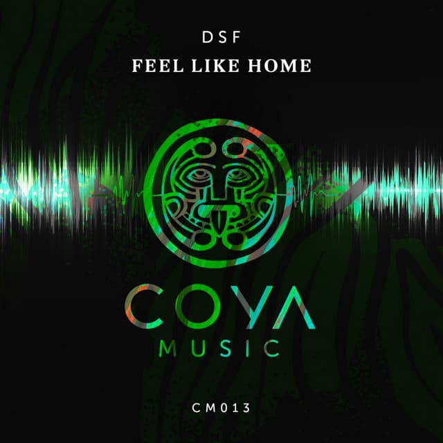 dsf - zoo cover