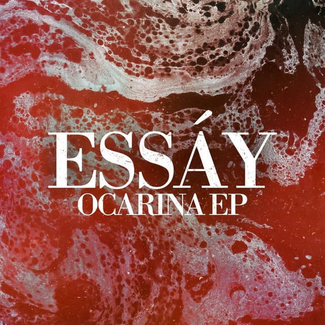 essáy - ocarina cover