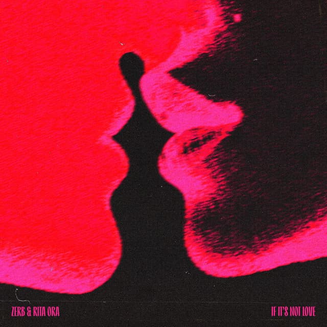 zerb & rita ora - if it's not love cover