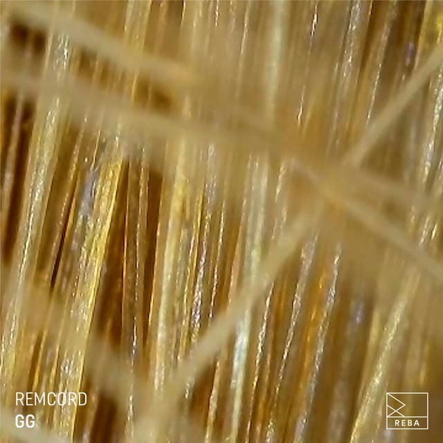 remcord - oxi sunday cover