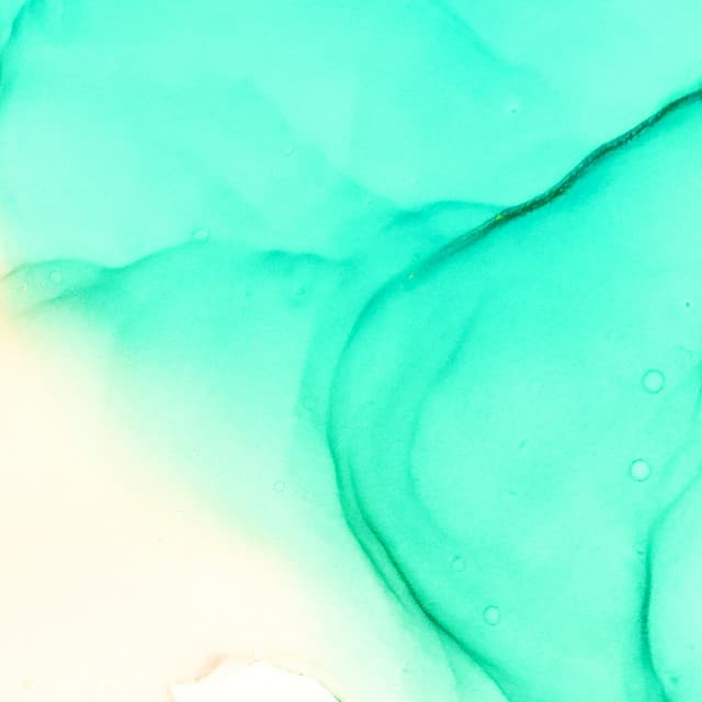 Disappear