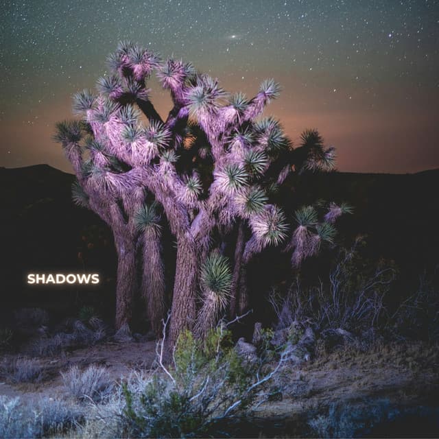 &me - shadows cover
