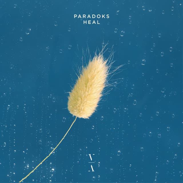 paradoks - heal cover