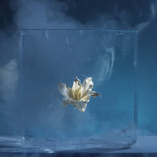 Night Thoughts cover