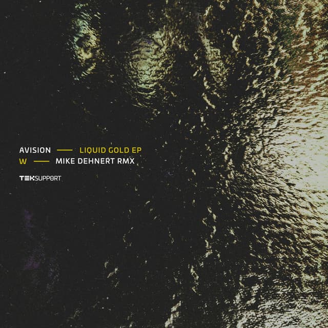 avision - liquid gold (mike dehnert remix) cover