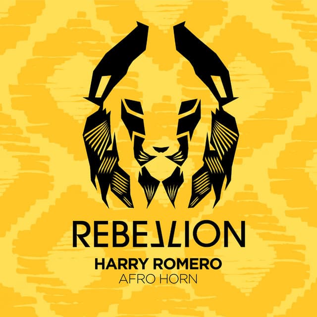 Afro Horn (Original Mix) cover