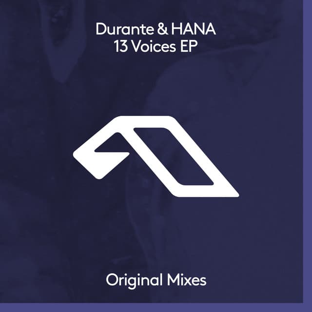 13 Voices cover