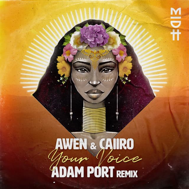 caiiro & awen - your voice (adam port remix) cover