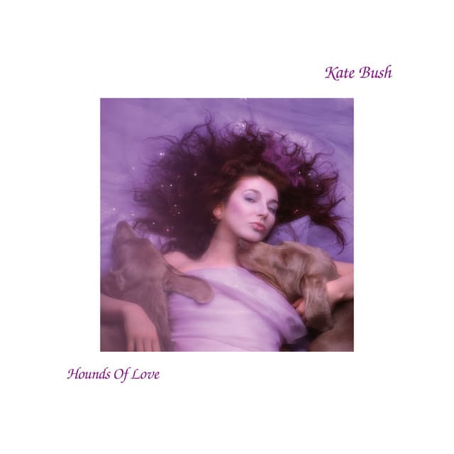 kate bush - running up that hill (a deal with god) (vintage culture re-mode) cover