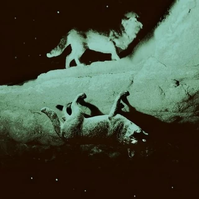 henry saiz - spiricom (see you soon) (damabiah remix) cover