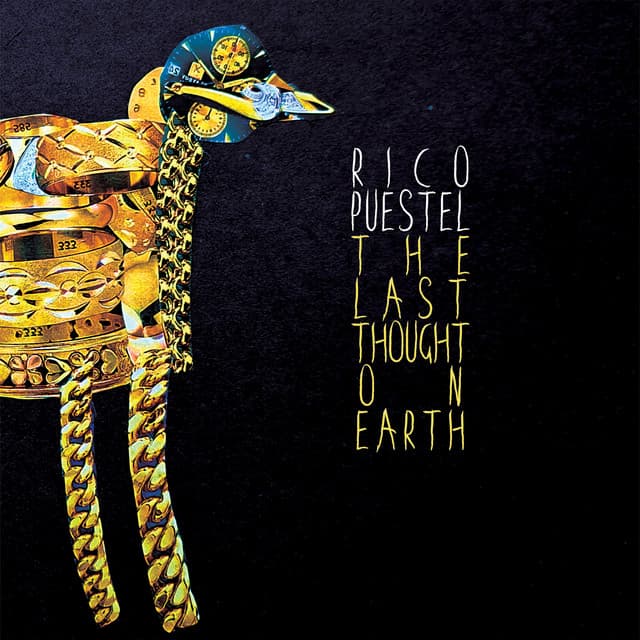 rico puestel - stellesquotaro cover