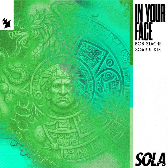 in your face cover
