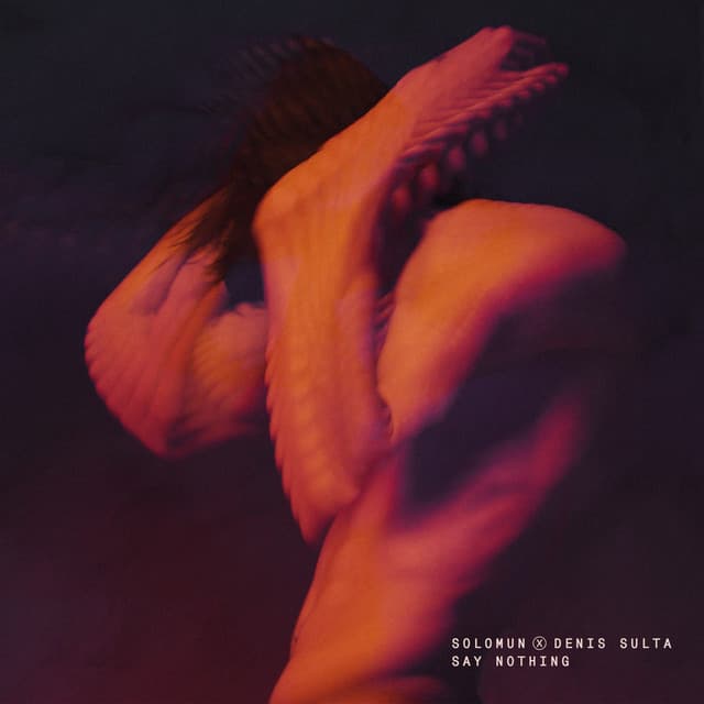 solomun & denis sulta - say nothing cover