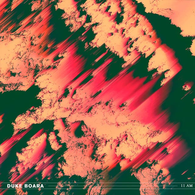 duke boara - rain cover