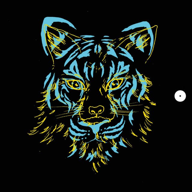 oliver koletzki - about the fox and a tiger cover
