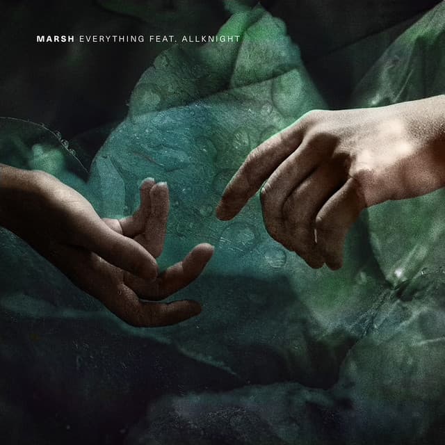 everything cover