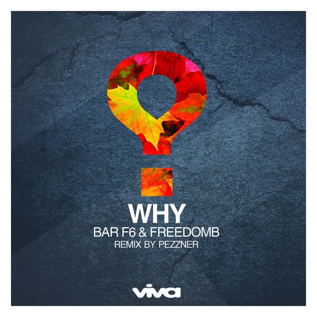 bar f6 & freedomb - why (pezzner hydrochloric rinse) cover