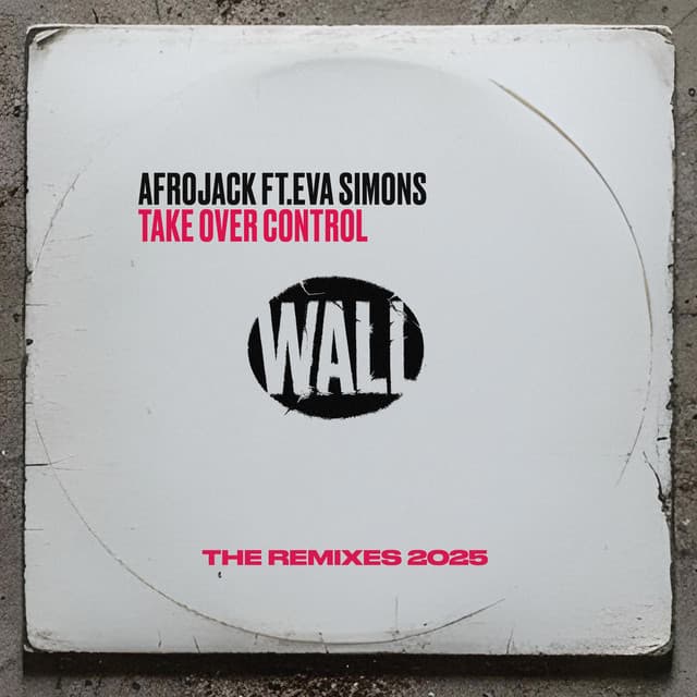 afrojack ft. eva simons - take over control (matt sassari remix) cover