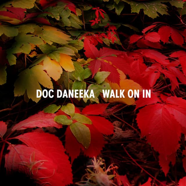 Walk On In (Original Mix) cover