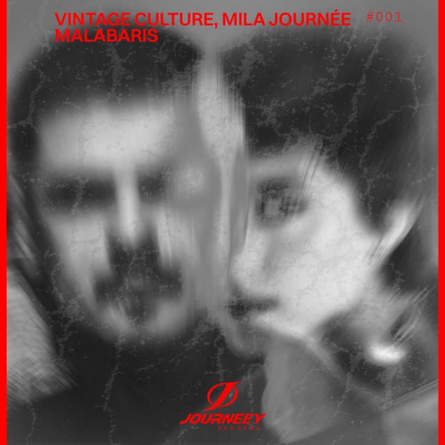 vintage culture & mila journée - malabaris cover