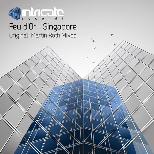 feu d'or - singapore (martin roth remix) cover