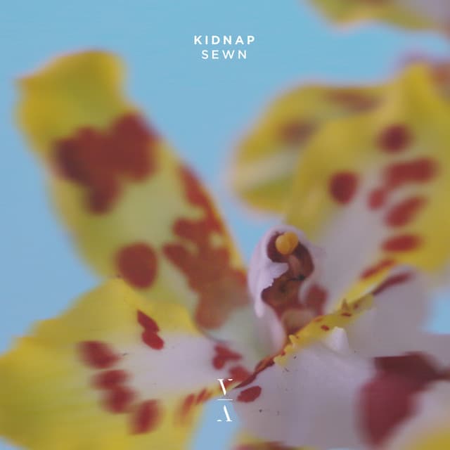 kidnap - sewn cover