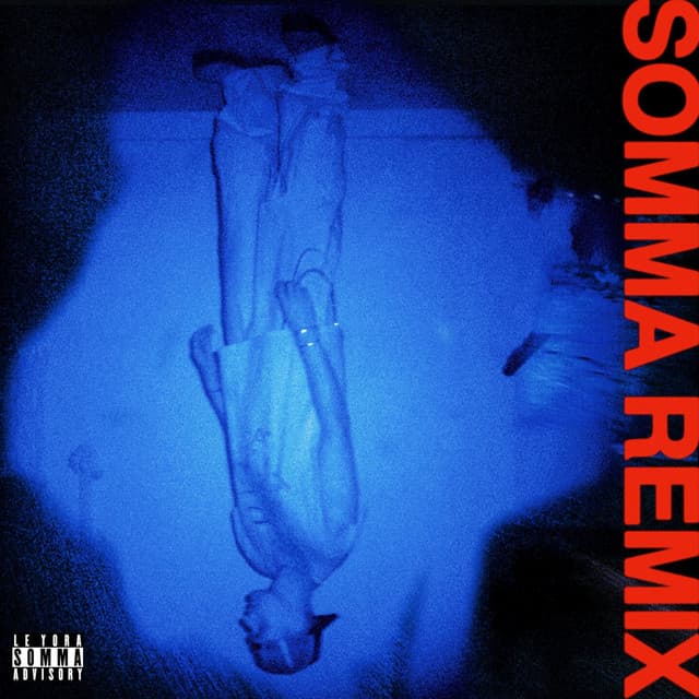 channo - vertebrae (somma remix) cover