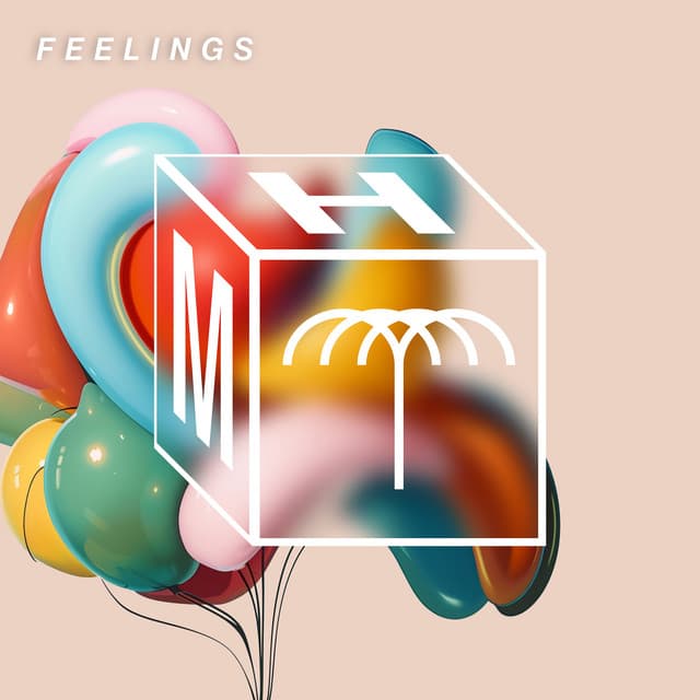 dub.format - feelings cover