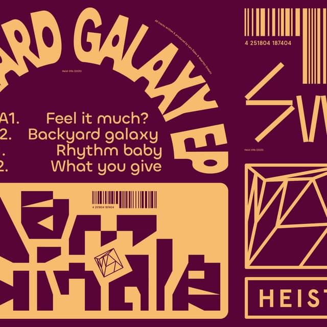 backyard galaxy cover