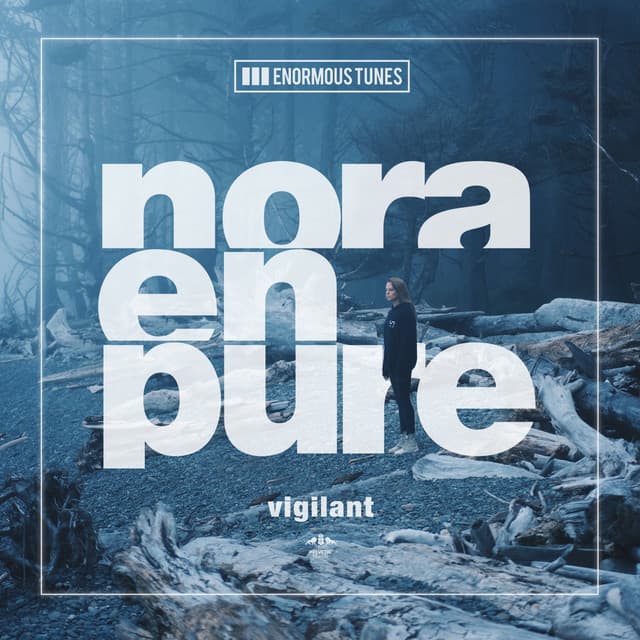 nora en pure - vigilant cover