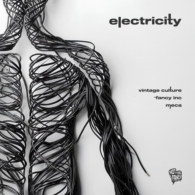 vintage culture & fancy inc & meca - electricity cover