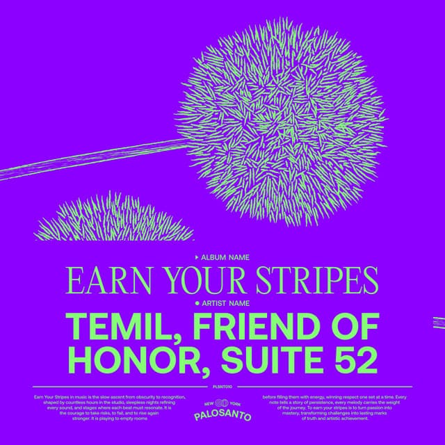 Earn Your Stripes