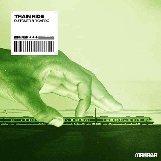 dj tomer & ricardo - train ride cover
