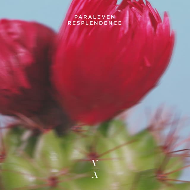 paraleven - resplendence cover