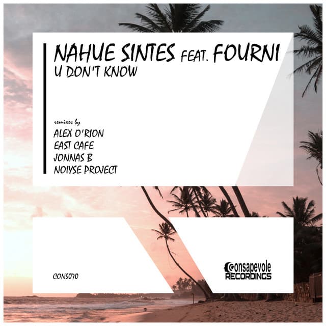 nahue sintes & fourni - u don't know (alex o'rion deep dub mix) cover