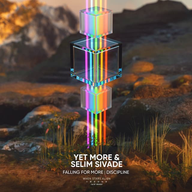 yet more - discipline cover