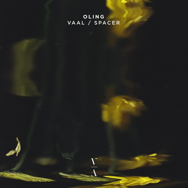 vaal cover