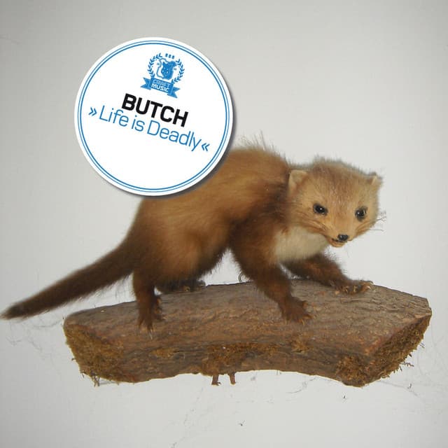 butch - mushrooms of happiness cover