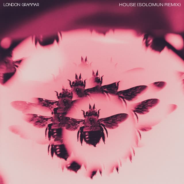 london grammar - house (solomun remix) cover