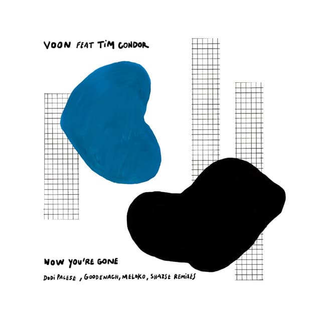 voon & tim condor - now you're gone (dodi palese remix) cover