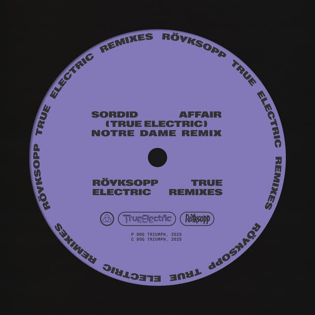 röyksopp ft. man without country - sordid affair (true electric) (notre dame remix) cover