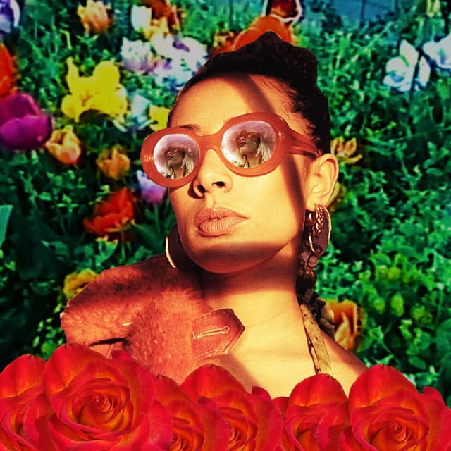 eliza rose & interplanetary criminal - b.o.t.a. (calussa edit) cover