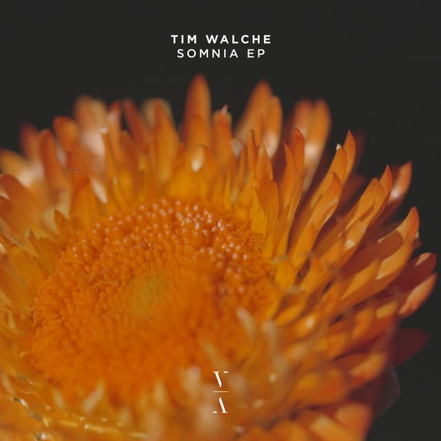 tim walche & elio chaeban - resurgence cover