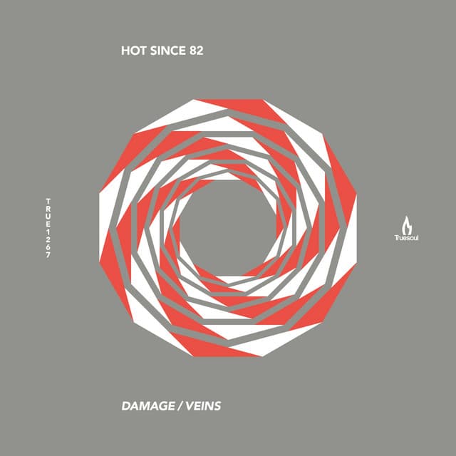 hot since 82 - veins cover