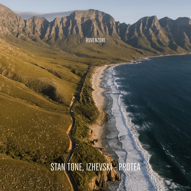stan tone & izhevski - protea cover