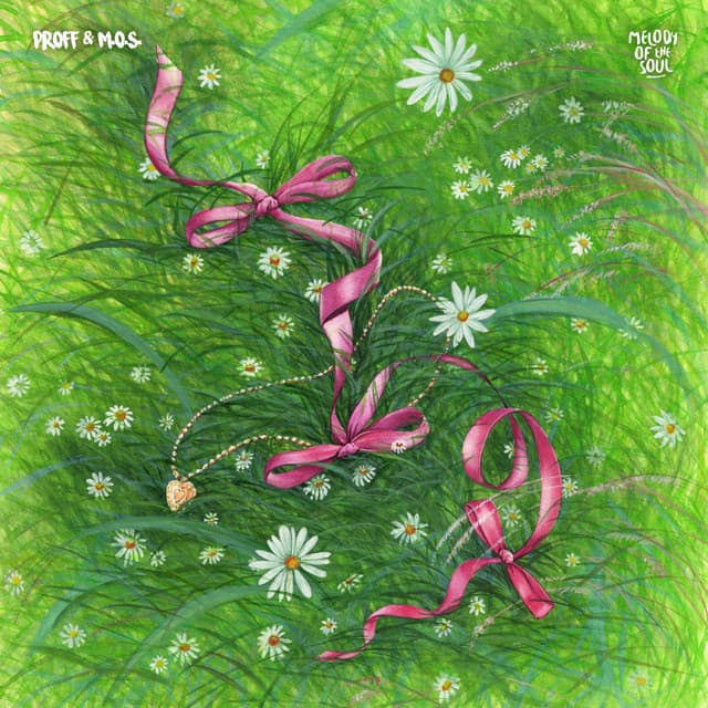 namtso cover