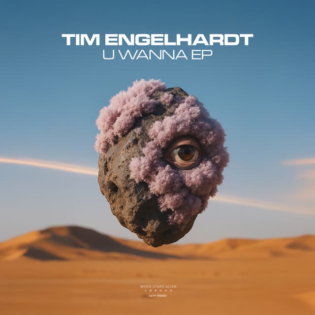 tim engelhardt - u wanna cover