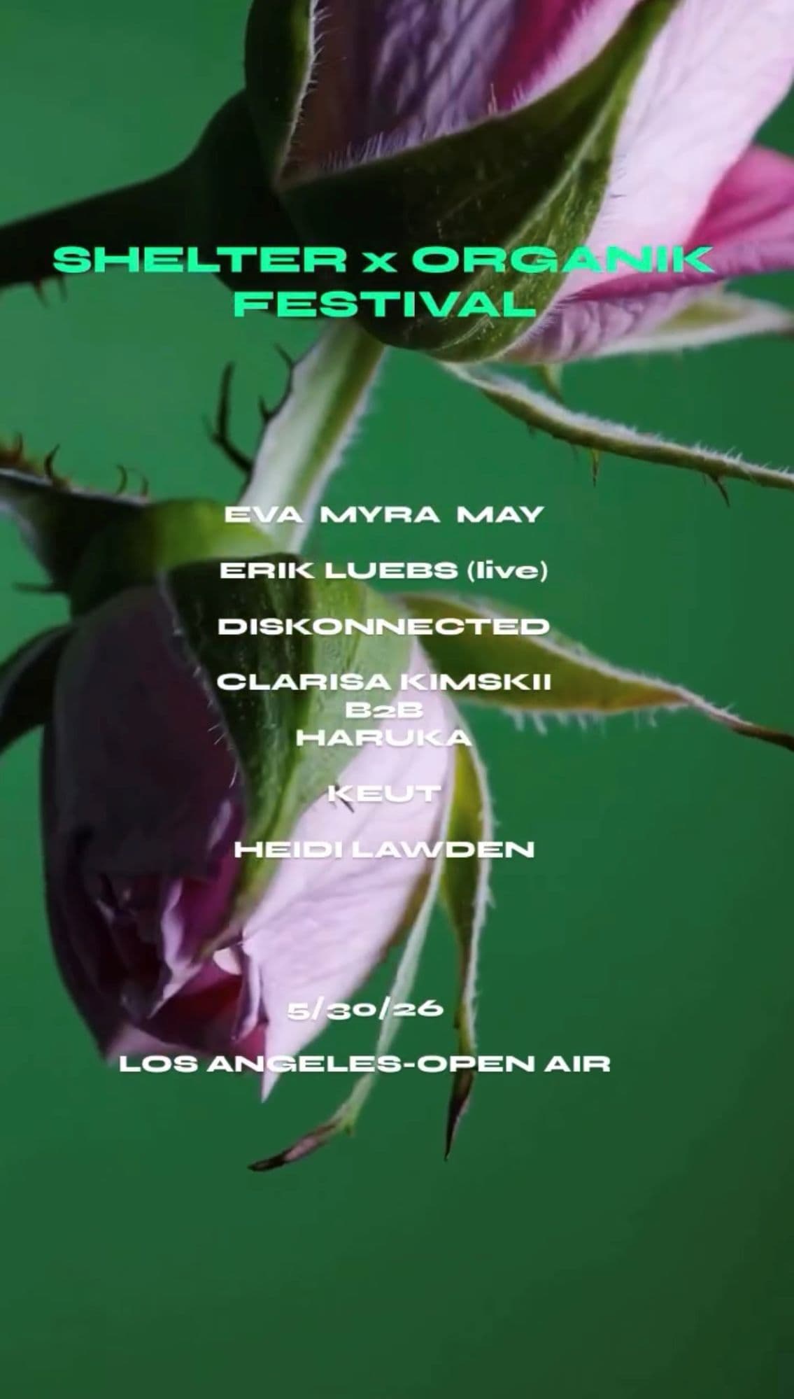 SHELTER X ORGANIK FESTIVAL  -  OPEN AIR