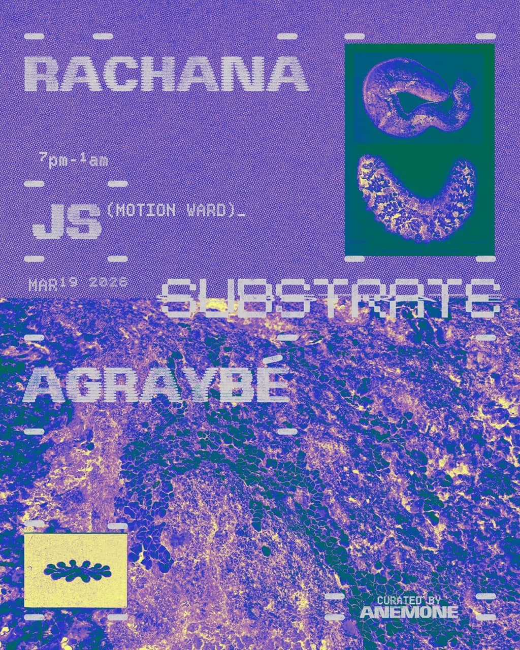 Substrate x anemone